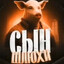 СЫН ШЛЮХИ