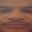 Sniff
