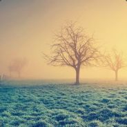 一语道破我方基地