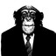 Mannered Chimpanzee
