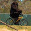 Ape_Daddy