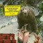 Dynamite Monkey