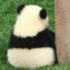 江上闲人