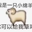 陈冠希