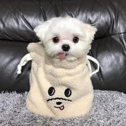 开心超人不开心也超人