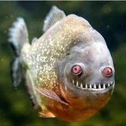 tua vo aquela piranha