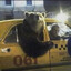 Peeking B Bear