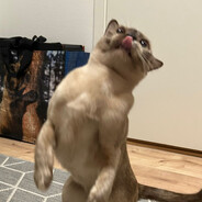 0kk0