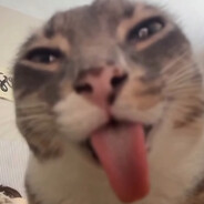 quazy