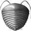 squamacula