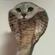 алексей навальны