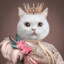 princessunicorn