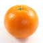The Orange | Pvpro.com