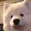 Big Floof