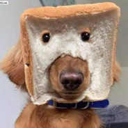 相信公安相信党 赌毒没有好下场