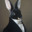 wascally wabbit
