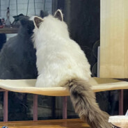 差不多冬至一早一晚还是有雨