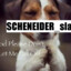 schneider-&gt;_-slum