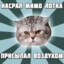 KIRILL_1133