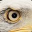(L|ss) Eagle Eye Leone