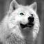 WhiteWolf