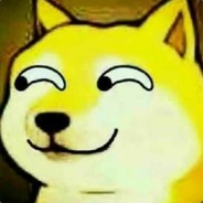 对对对我是启哥