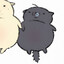 phatpocky
