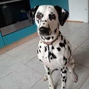 bugi - steam id 76561199084389762