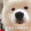 我的小涵不可能这么可爱