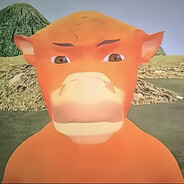 NiuLai