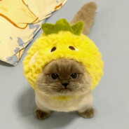 Петрено Танго