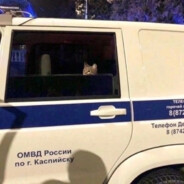 Грязный Максим