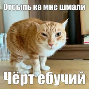 муся это ты? - steam id 76561199508492071