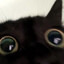 speeaker's avatar