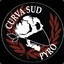 CURVA SUD