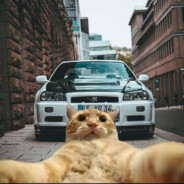 ONISSANPEEKCAT avatar