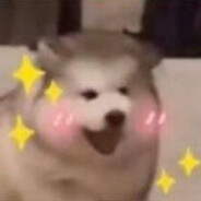 白给然后刷视频100