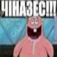 myorphe1000-7/240km/peek