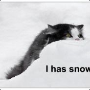 Elferone - steam id 76561197960680852