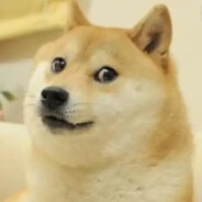 木有感情的杀手