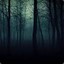 DarKWooD