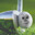 pubert