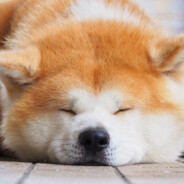 Kentuckyケンタッキー