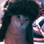 injakov