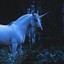 BluTittdUnicorn