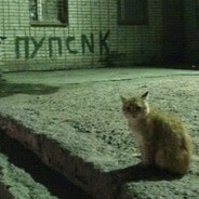 ПУПСNК