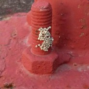 我注意你很久了