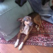 ۰Ҳ» ๖ۣۜCu[C]i «Ҳ۰