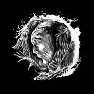Taekkk avatar