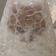 名字什麼的最難取